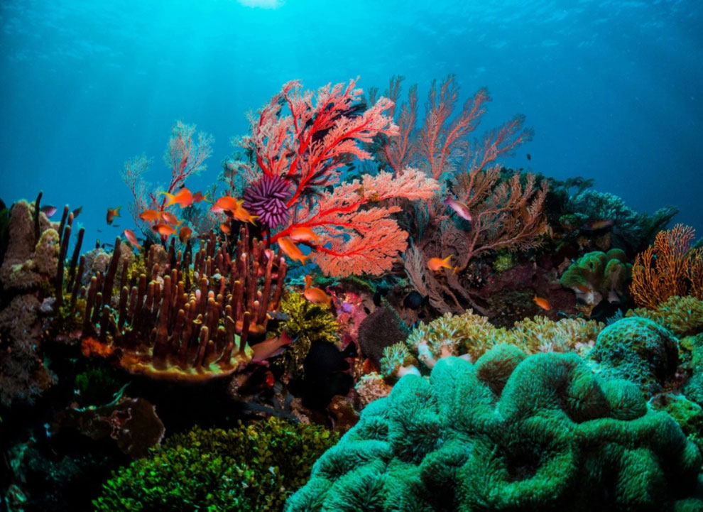 Catamaran sailing Greece